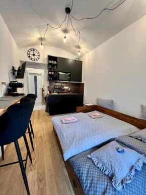 Studio v přízemí s kuchyní a koupelnou
